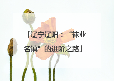辽宁辽阳：“袜业名镇”的进阶之路
