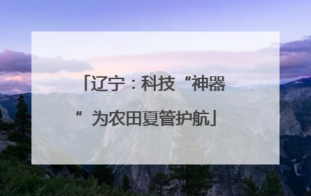 辽宁：科技“神器”为农田夏管护航