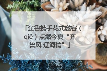 辽鲁携手花式邀客（qiě）点燃今夏“齐鲁风 辽海情”