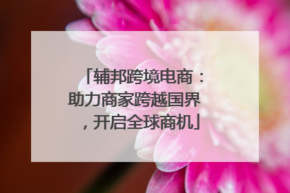 辅邦跨境电商：助力商家跨越国界，开启全球商机