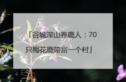 谷城深山养鹿人：70只梅花鹿带富一个村