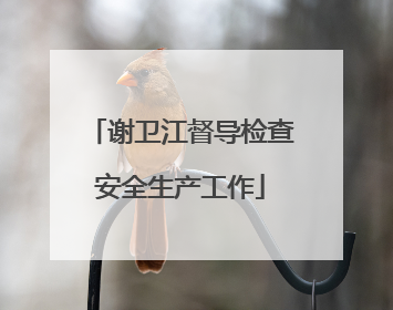 谢卫江督导检查安全生产工作