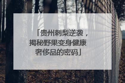 贵州刺梨逆袭，揭秘野果变身健康奢侈品的密码