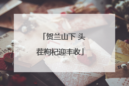 贺兰山下 头茬枸杞迎丰收