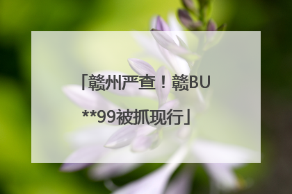 赣州严查！赣BU**99被抓现行