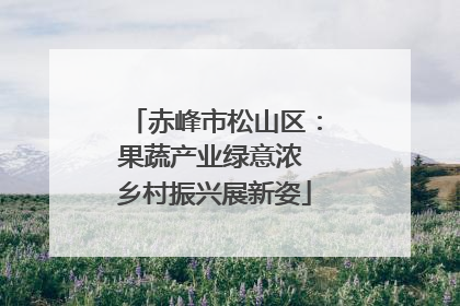 赤峰市松山区：果蔬产业绿意浓 乡村振兴展新姿