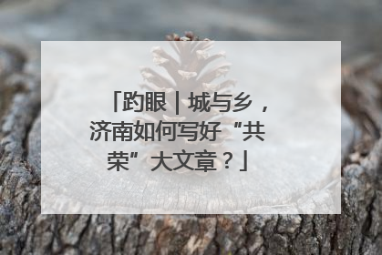 趵眼｜城与乡，济南如何写好“共荣”大文章？