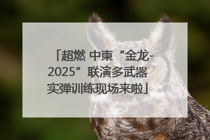 超燃 中柬“金龙-2025”联演多武器实弹训练现场来啦
