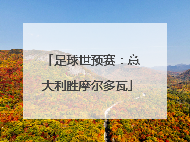 足球世预赛：意大利胜摩尔多瓦