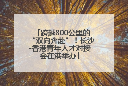 跨越800公里的“双向奔赴”！长沙-香港青年人才对接会在港举办