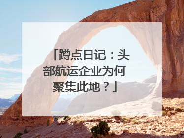 蹲点日记：头部航运企业为何聚集此地？