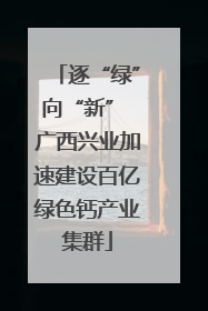 逐“绿”向“新” 广西兴业加速建设百亿绿色钙产业集群