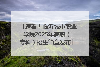 速看！临沂城市职业学院2025年高职（专科）招生简章发布