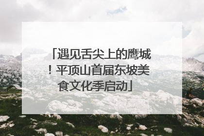 遇见舌尖上的鹰城！平顶山首届东坡美食文化季启动