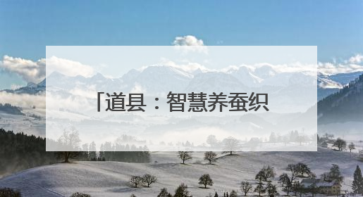 道县：智慧养蚕织就致富新“丝路” 千亩桑园托起“家门口”的幸福