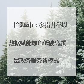 邹城市：多措并举以数据赋能绿色低碳高质量政务服务新模式