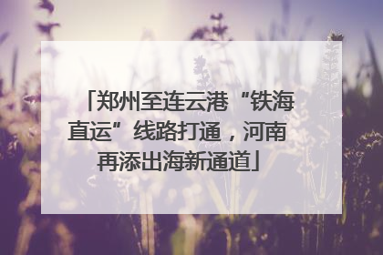 郑州至连云港“铁海直运”线路打通，河南再添出海新通道