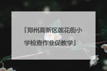 郑州高新区莲花街小学检查作业促教学