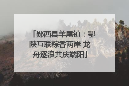 郧西县羊尾镇：鄂陕互联粽香两岸 龙舟逐浪共庆端阳
