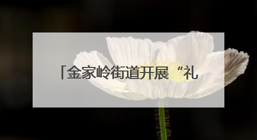 金家岭街道开展“礼让斑马线 文明你我他”主题宣讲活动