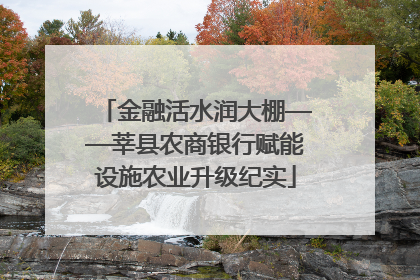 金融活水润大棚——莘县农商银行赋能设施农业升级纪实