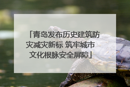 青岛发布历史建筑防灾减灾新标 筑牢城市文化根脉安全屏障