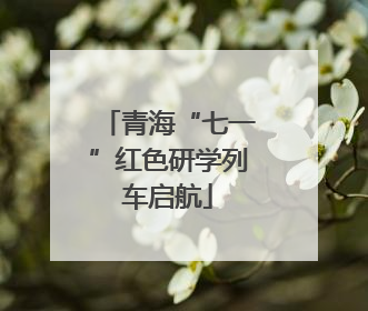 青海“七一”红色研学列车启航
