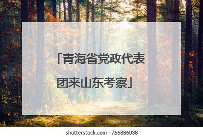 青海省党政代表团来山东考察