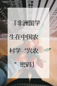 非洲留学生在中国农村学“兴农”密码
