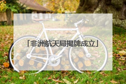 非洲航天局揭牌成立