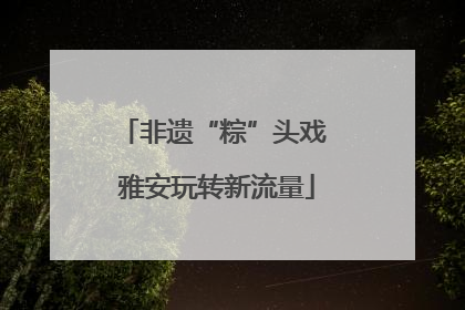 非遗“粽”头戏 雅安玩转新流量