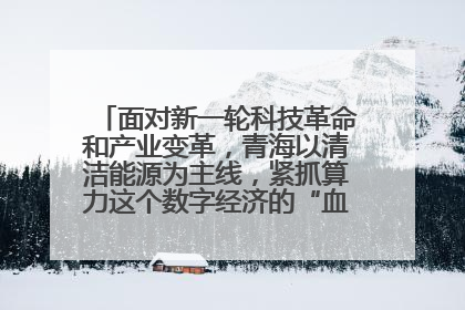 面对新一轮科技革命和产业变革，青海以清洁能源为主线，紧抓算力这个数字经济的“血液”、科技主权的“筹码”、产业升级的“杠杆”、绿色转型的“支点”，勇于撬动国家“双碳”战略、“东数西算”工程重大发展新机遇