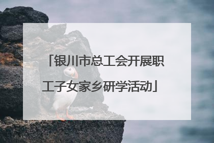 银川市总工会开展职工子女家乡研学活动