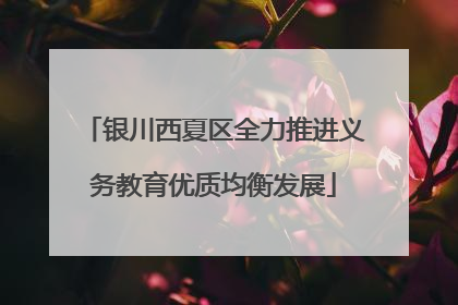 银川西夏区全力推进义务教育优质均衡发展