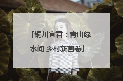 铜川宜君：青山绿水间 乡村新画卷