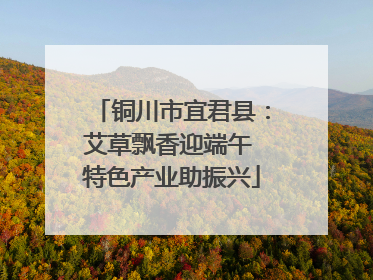 铜川市宜君县：艾草飘香迎端午 特色产业助振兴