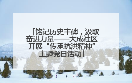 铭记历史丰碑，汲取奋进力量——大成社区开展“传承抗洪精神”主题党日活动