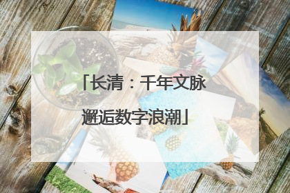 长清：千年文脉邂逅数字浪潮