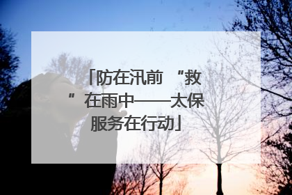 防在汛前 “救”在雨中——太保服务在行动