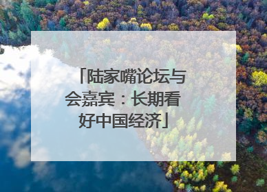 陆家嘴论坛与会嘉宾：长期看好中国经济