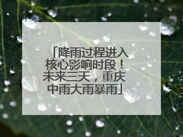降雨过程进入核心影响时段！未来三天，重庆中雨大雨暴雨