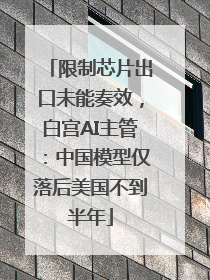 限制芯片出口未能奏效，白宫AI主管：中国模型仅落后美国不到半年