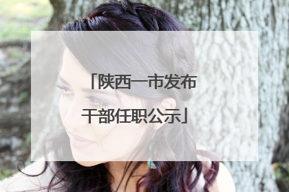 陕西一市发布干部任职公示