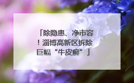 除隐患、净市容！淄博高新区拆除巨幅“牛皮癣”