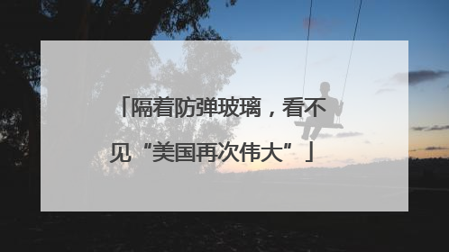 隔着防弹玻璃，看不见“美国再次伟大”