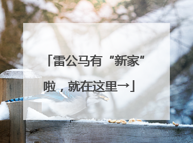 雷公马有“新家”啦，就在这里→