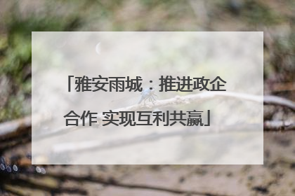 雅安雨城：推进政企合作 实现互利共赢