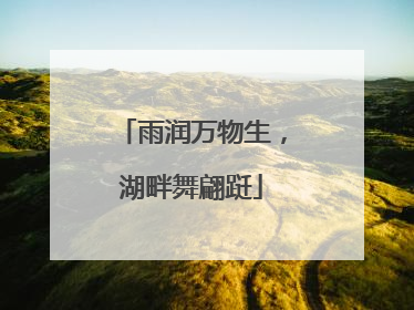 雨润万物生，湖畔舞翩跹