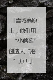 雪域高原上，他们用“小蘑菇”创造大“蘑”力！