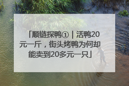 顺链探鸭①｜活鸭20元一斤，街头烤鸭为何却能卖到20多元一只